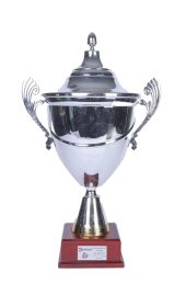 FLB-Snips-Tournament